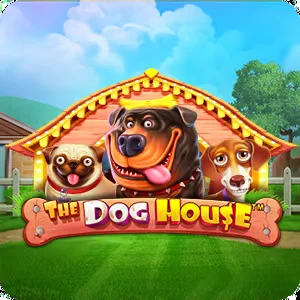 the pokies casino casino